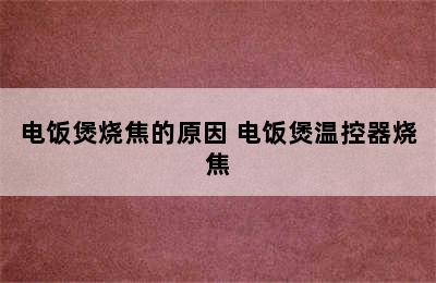 电饭煲烧焦的原因 电饭煲温控器烧焦